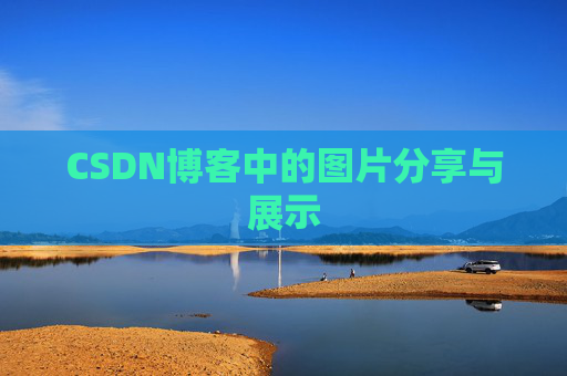 CSDN博客中的图片分享与展示